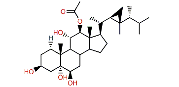 Gorgostane-3,5,6,11,12-pentol 12-acetate